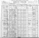 1900 Census Virginia Pittsylvania County Bob S. Carter and Emily