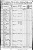 Pittsylvania County, VA Census showing Robert Newton Walton living next door to Albert M. Carter (Mary Walton Carter is his daughter)