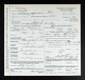 Death Certificate provided by Jeff Sheaffer with much gratitude.
Susanna Reynolds Curley (nee Hill)