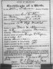 Birth Record