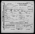 Birth Record