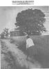 Photo
Mabel Wells Merricks Walking to Her Cabin